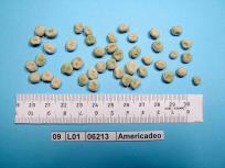 Click for 4 image(s) for this accession. Image